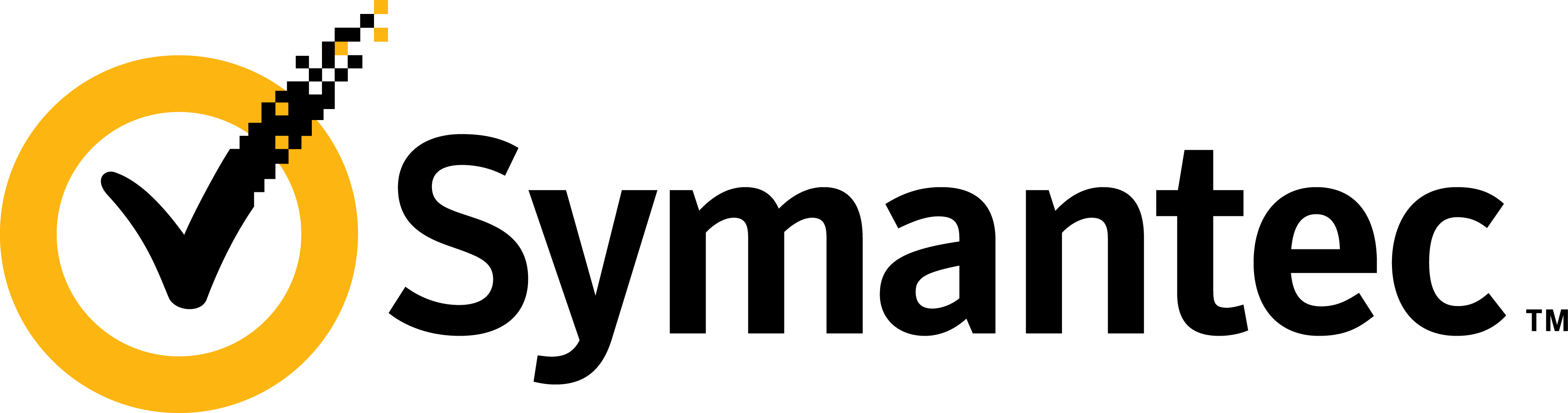 Symantec logo horizontal 2010